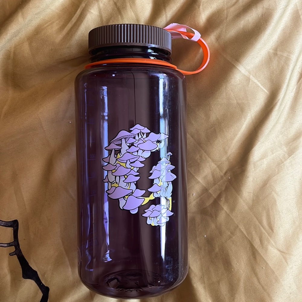 Glossier Water Bottle